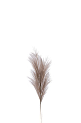 Pluimen Bruin S  - (36969)